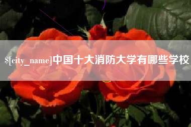 广水中国十大消防大学有哪些学校