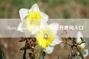 广水中国执行网公开查询入口