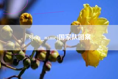 广水国家队图案