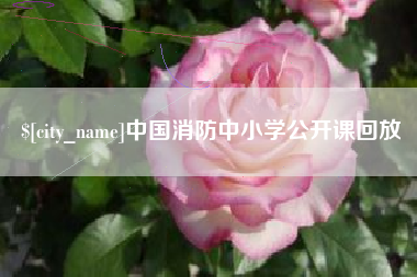 广水中国消防中小学公开课回放
