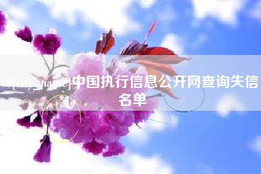 广水中国执行信息公开网查询失信名单