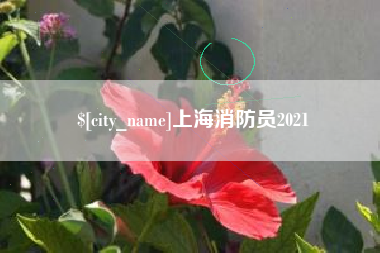 广水上海消防员2021