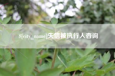 广水失信被执行人杳询