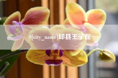 广水邱县王子磊
