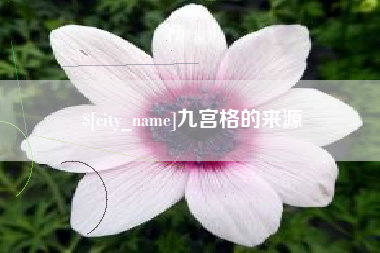 广水九宫格的来源