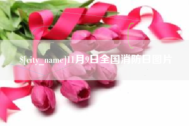 广水11月9日全国消防日图片