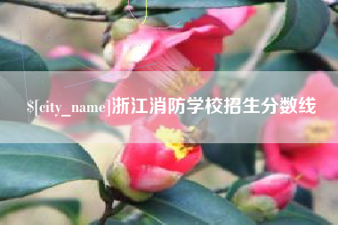 广水浙江消防学校招生分数线