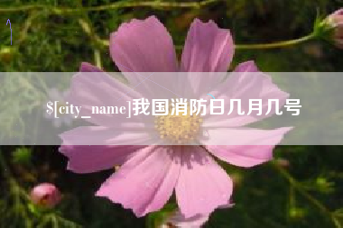 广水我国消防日几月几号