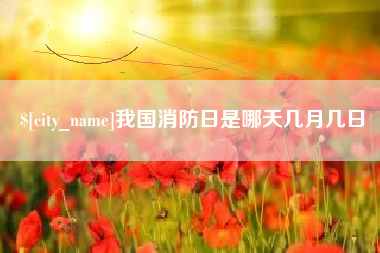 广水我国消防日是哪天几月几日