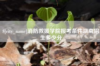 广水消防救援学院报考条件湖南招生多少分