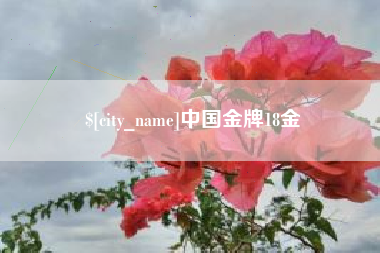 广水中国金牌18金