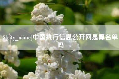 广水中国执行信息公开网是黑名单吗