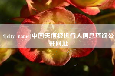 广水中国失信被执行人信息查询公开网址