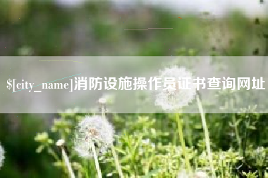 广水消防设施操作员证书查询网址