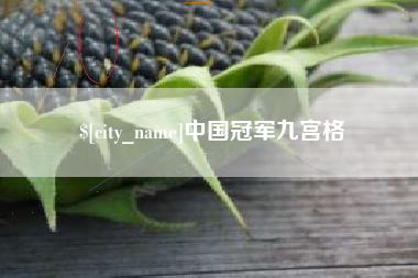 广水中国冠军九宫格