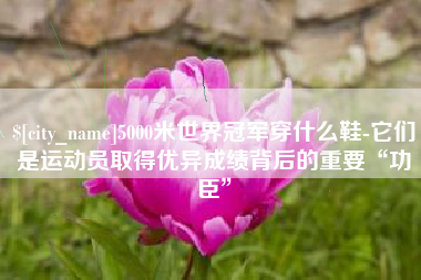 广水5000米世界冠军穿什么鞋-它们是运动员取得优异成绩背后的重要“功臣”