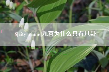 广水九宫为什么只有八卦