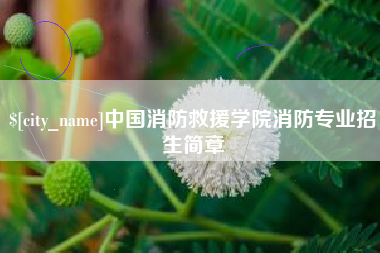 广水中国消防救援学院消防专业招生简章