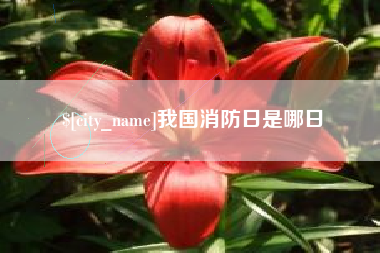 广水我国消防日是哪日