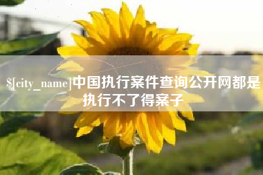 广水中国执行案件查询公开网都是执行不了得案子