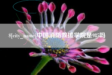 广水中国消防救援学院是985吗