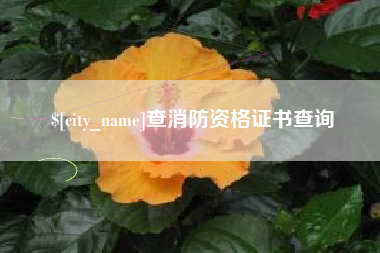 广水查消防资格证书查询