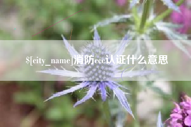 广水消防ccc认证什么意思