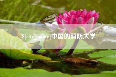 广水中国的消防大学