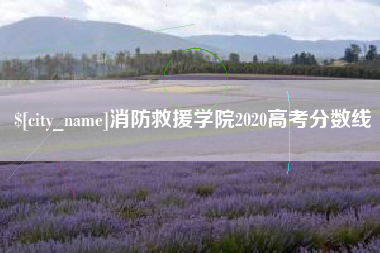 广水消防救援学院2020高考分数线
