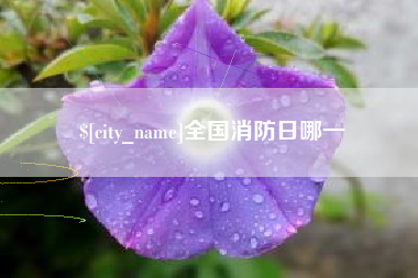 广水全国消防日哪一