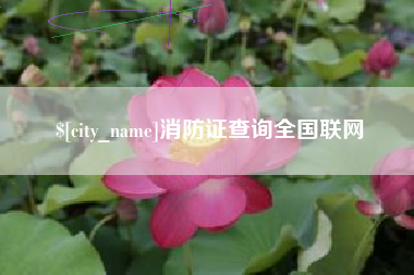 广水消防证查询全国联网