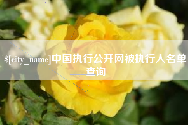 广水中国执行公开网被执行人名单查询