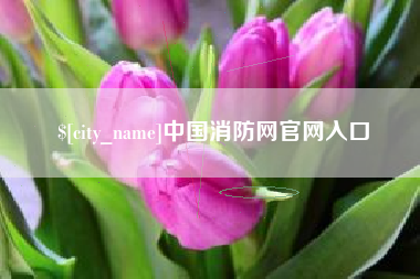 广水中国消防网官网入口