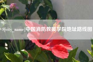 广水中国消防救援学院地址路线图