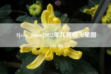 广水2022年九宫格飞星图