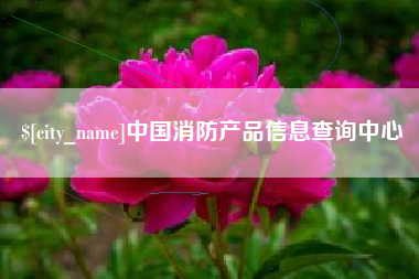 广水中国消防产品信息查询中心