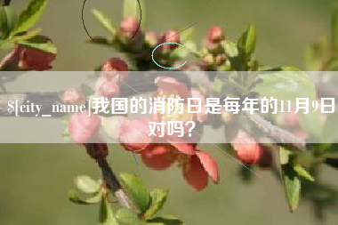 广水我国的消防日是每年的11月9日对吗？