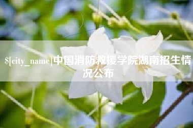 广水中国消防救援学院湖南招生情况公布