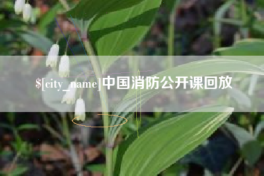 广水中国消防公开课回放