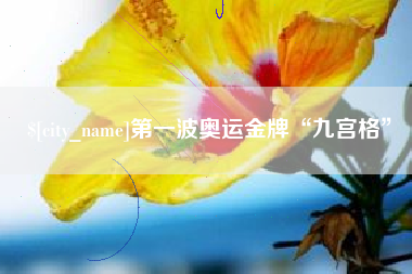 广水第一波奥运金牌“九宫格”