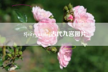 广水古代九宫图片