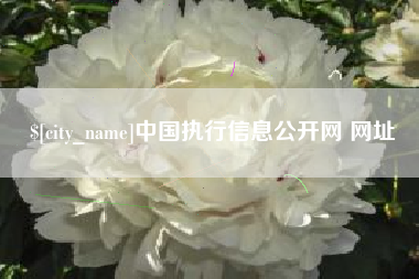 广水中国执行信息公开网 网址