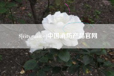 广水中国消防产品官网
