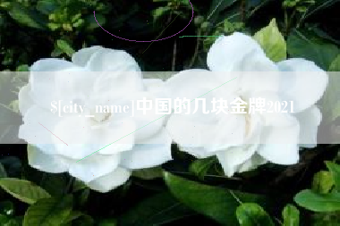 广水中国的几块金牌2021