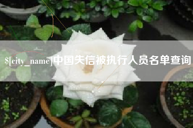广水中国失信被执行人员名单查询