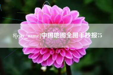 广水中国地图全图手抄报75