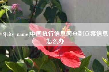 广水中国执行信息网查到立案信息怎么办