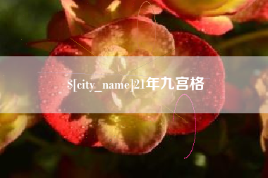 广水21年九宫格