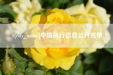广水中国执行信息公开名单