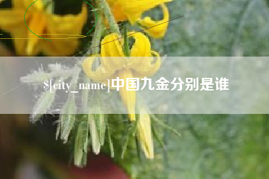 广水中国九金分别是谁